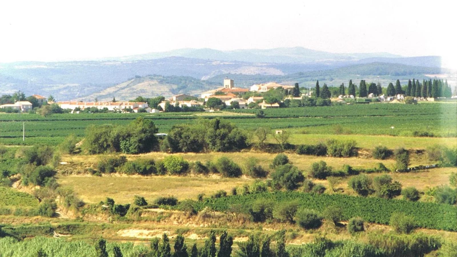 Vue panoramique du village d'Abeilhan dans l'Hérault, toits et clocher au milieu des vignes des Côtes de Thongue